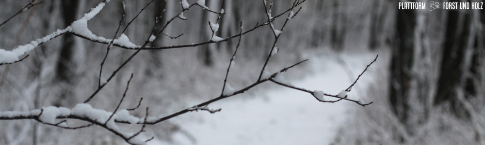 Forst-Holz-Dialog 2026